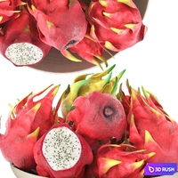 Bowl of Dragon Fruits 3D Model Vray, Corona