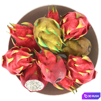 Bowl of Dragon Fruits 3D Model Vray, Corona