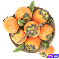 Bowl of persimmon fruitbowl of persimmon fruit 3D Model Vray, Corona