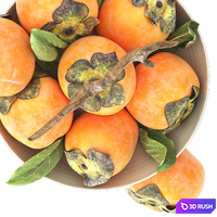 Bowl of persimmon fruitbowl of persimmon fruit 3D Model Vray, Corona