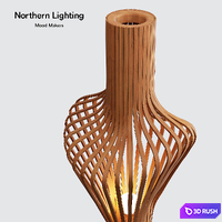 Northern Lighting Diva 3D Model Corona
