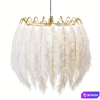 Plumage 53 3D Model Corona
