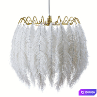 Plumage 53 3D Model Corona