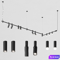 Esthetic Magnetic track multi-level magnetic suspension system on cables 3D Model Vray, Corona