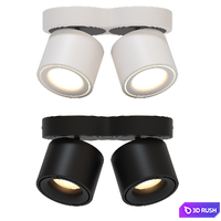 Ceiling lights with heads 3D Model Corona