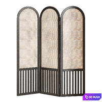 Cane Partition 3D Model Vray, Corona