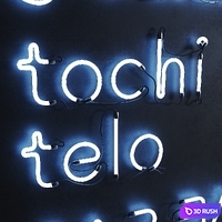 Neon  Set of neon logos 3D Model Corona