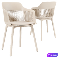 Crocus chair 3D Model Corona