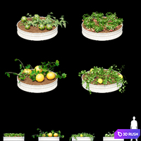 Garden | Kitchen garden.vol 2 3D Model Vray, Corona