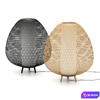 Ay illuminate Twiggy Egg 3D Model Vray, Corona