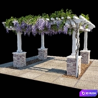 Pergola with Wisteria (Pergola with Wisteria) 3D Model Corona