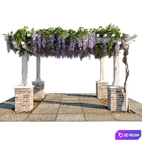 Pergola with Wisteria (Pergola with Wisteria) 3D Model Corona