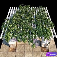 Pergola with Wisteria (Pergola with Wisteria) 3D Model Corona