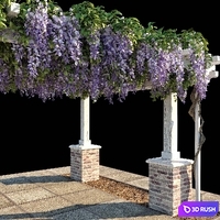 Pergola with Wisteria (Pergola with Wisteria) 3D Model Corona