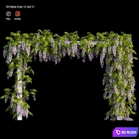 Wisterial tree 10 set 01 3D Model Vray, Corona