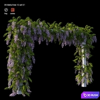 Wisterial tree 10 set 01 3D Model Vray, Corona