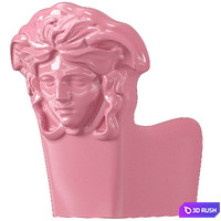 Versace Home Pop Medusa chair 3D Model