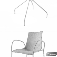 ZEBRA BICOLORE 3D Model Corona