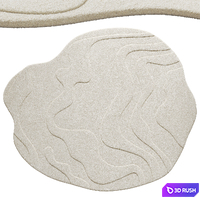 Irregular Shaped Rug 2 3D Model Corona