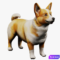 Corgi 3D Model Vray, Corona