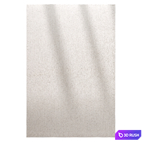 Rug 42 3D Model Corona