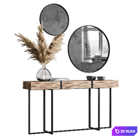 Decoration Set 03 pampas &amp; Console 3D Model Corona