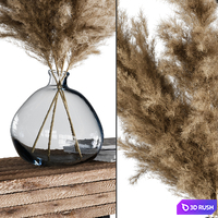 Decoration Set 03 pampas &amp; Console 3D Model Corona