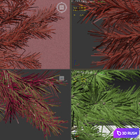 Young Spruce 3D Model Vray