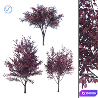 Prunus Cerasifera 3D Model Vray