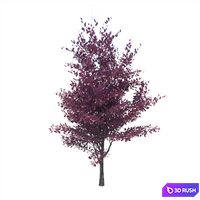Prunus Cerasifera 3D Model Vray