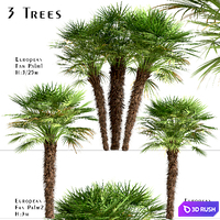 Set of European Fan Palm trees (Chamaerops Humilis) (3 Trees) 3D Model Vray