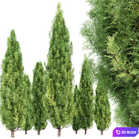 Cypress 2 3D Model Vray