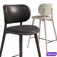 Backrest_Bar 3D Model Corona