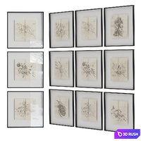 Glass photo frames with plant illustrations 2 3D Model Corona