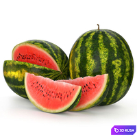 Watermelon 3D Model Vray