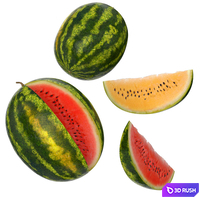 Watermelon 3D Model Vray