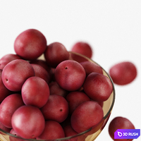 Red plums in a vase 3D Model Vray, Corona