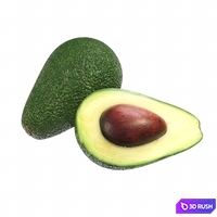 Avocado 3D Model Vray
