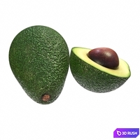 Avocado 3D Model Vray