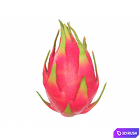 Dargonfruit whole 3D Model Vray