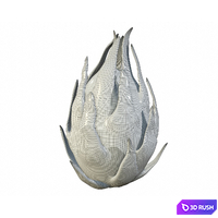 Dargonfruit whole 3D Model Vray