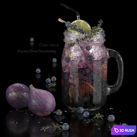cold drinks. Thyme/lime/blueberry 3D Model Corona
