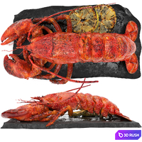 Lobster set 3D Model Vray, Corona