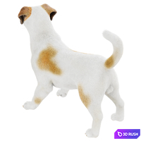 Jack Russell Terrier Dog 3D Model Vray