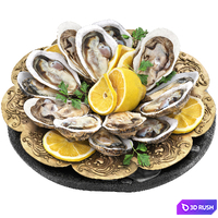 Plate of seafood oysters 3D Model Vray, Corona