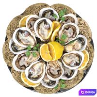 Plate of seafood oysters 3D Model Vray, Corona