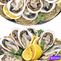 Plate of seafood oysters 3D Model Vray, Corona