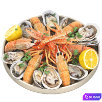 Seafood plate of langoustines and oysters 3D Model