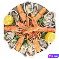 Seafood plate of langoustines and oysters 3D Model Vray, Corona