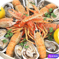 Seafood plate of langoustines and oysters 3D Model Vray, Corona